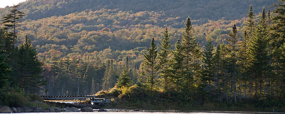 Beaver Pond Dam