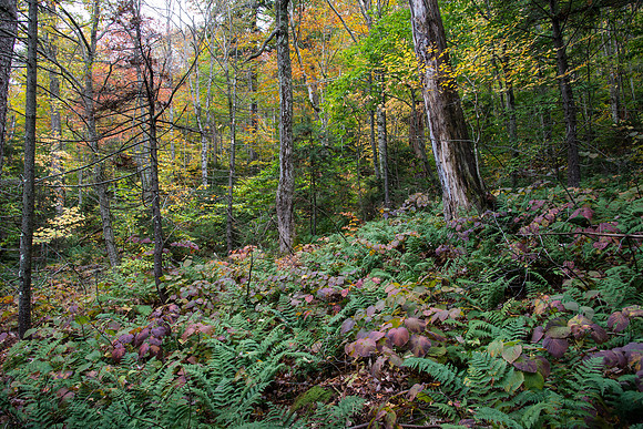 KFE_0194
