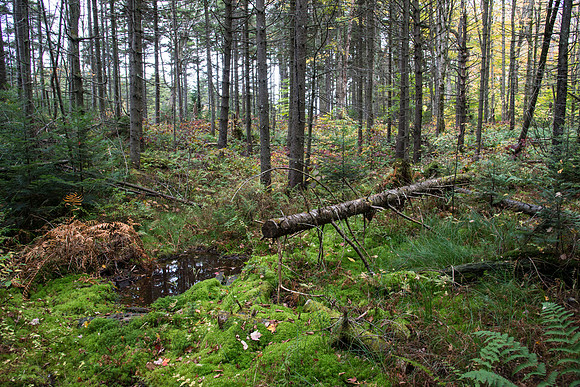KFE_0195