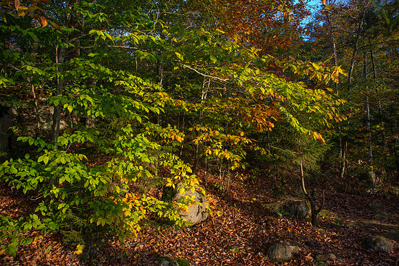 KFE_0276