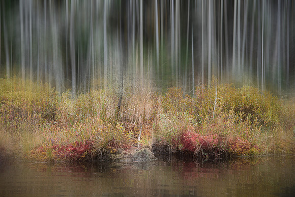 Stony Pond Abstract3