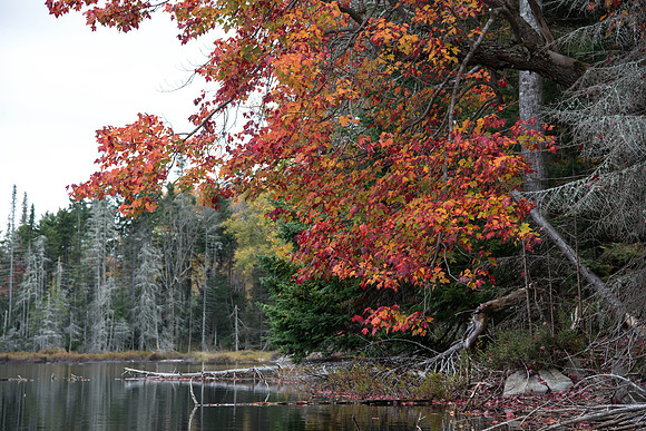 Stony Pond027