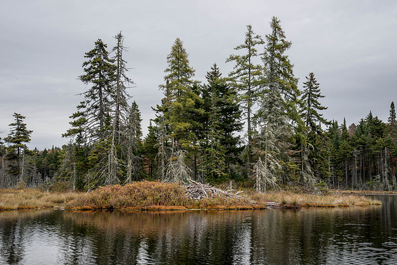 Stony Pond035