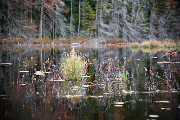 Stony Pond041