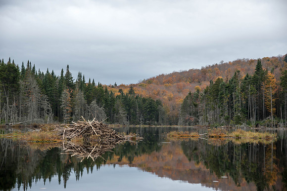 Stony Pond049