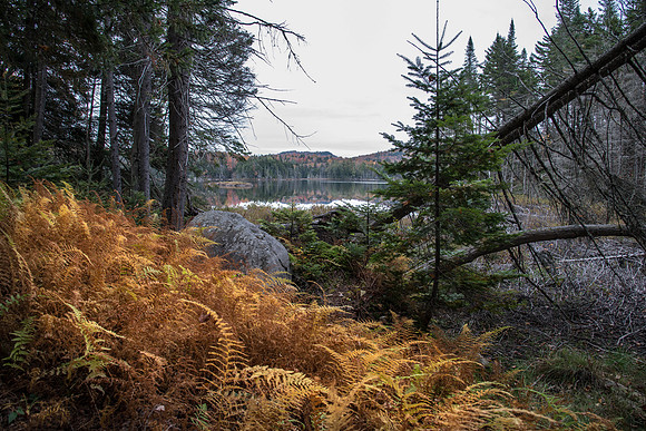 Stony Pond086
