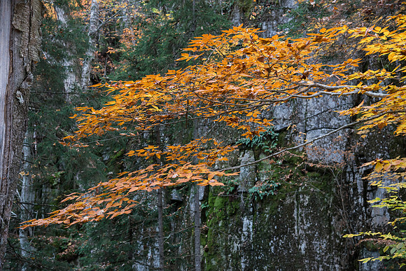 Stony Pond090