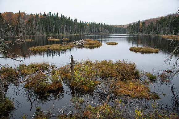 Stony Pond104