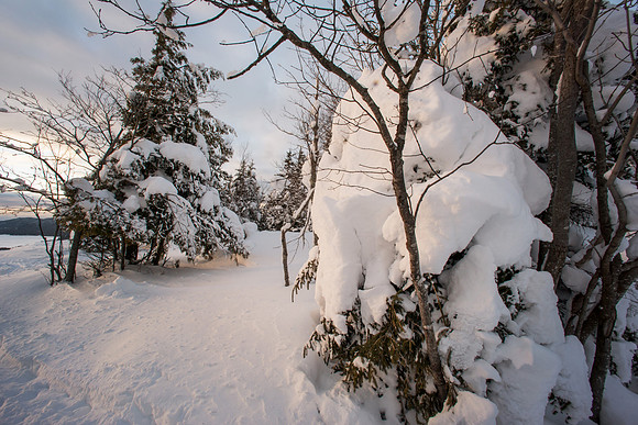 Winterscape5