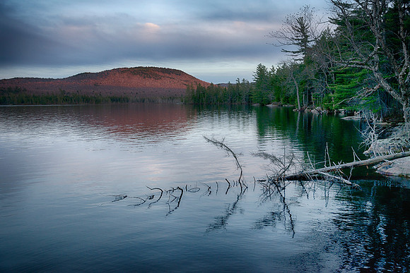 Rock Pond