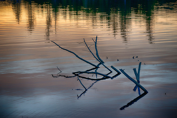 Rock Pond 2