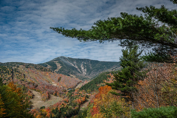 Whiteface Mtn.