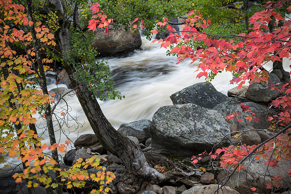 Ausable River from Whiteface Bridge