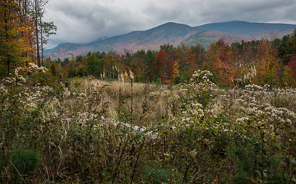 Off Road near Jay, NY