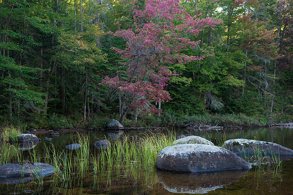Terrill Pond01