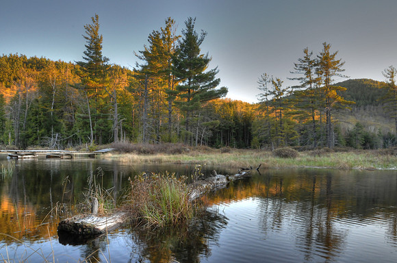 Rock Pond 8