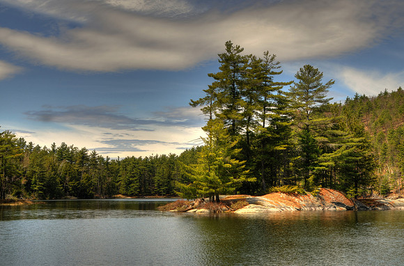 Island of Rock Pond