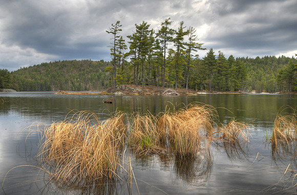 Rock Pond Landscape4