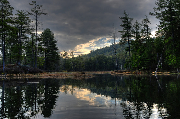 Rock Pond Landscape2