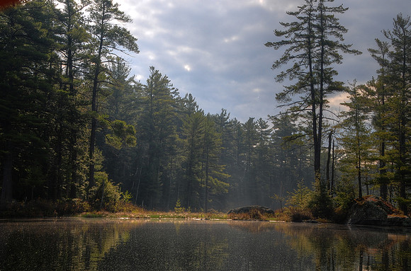 Early Morn on Rock Pond