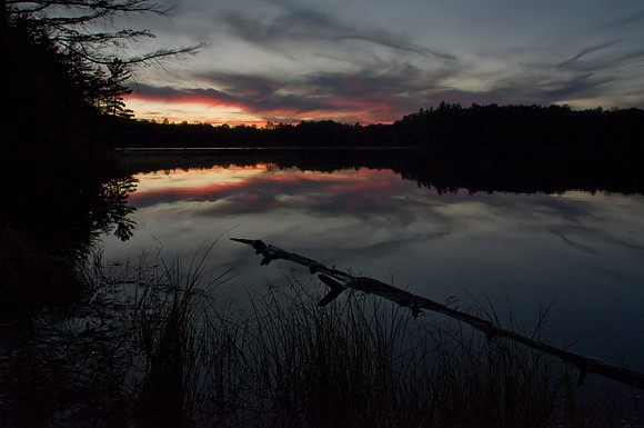 Evergreen Sunset