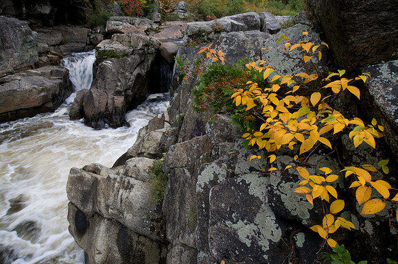 Wilmington Rapids