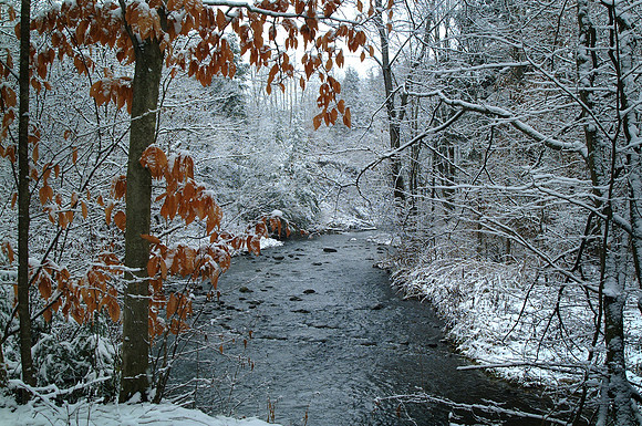 First Snow on Ransom Creek