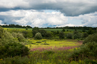 Valley near Dolgeville, NY