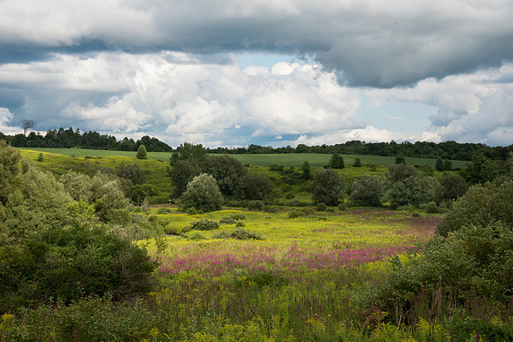 Valley near Dolgeville, NY